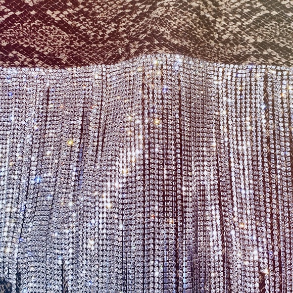 Custom Made Rhinestone Fringe Snakeskin Jacket 🌈 - Picture 4 of 5